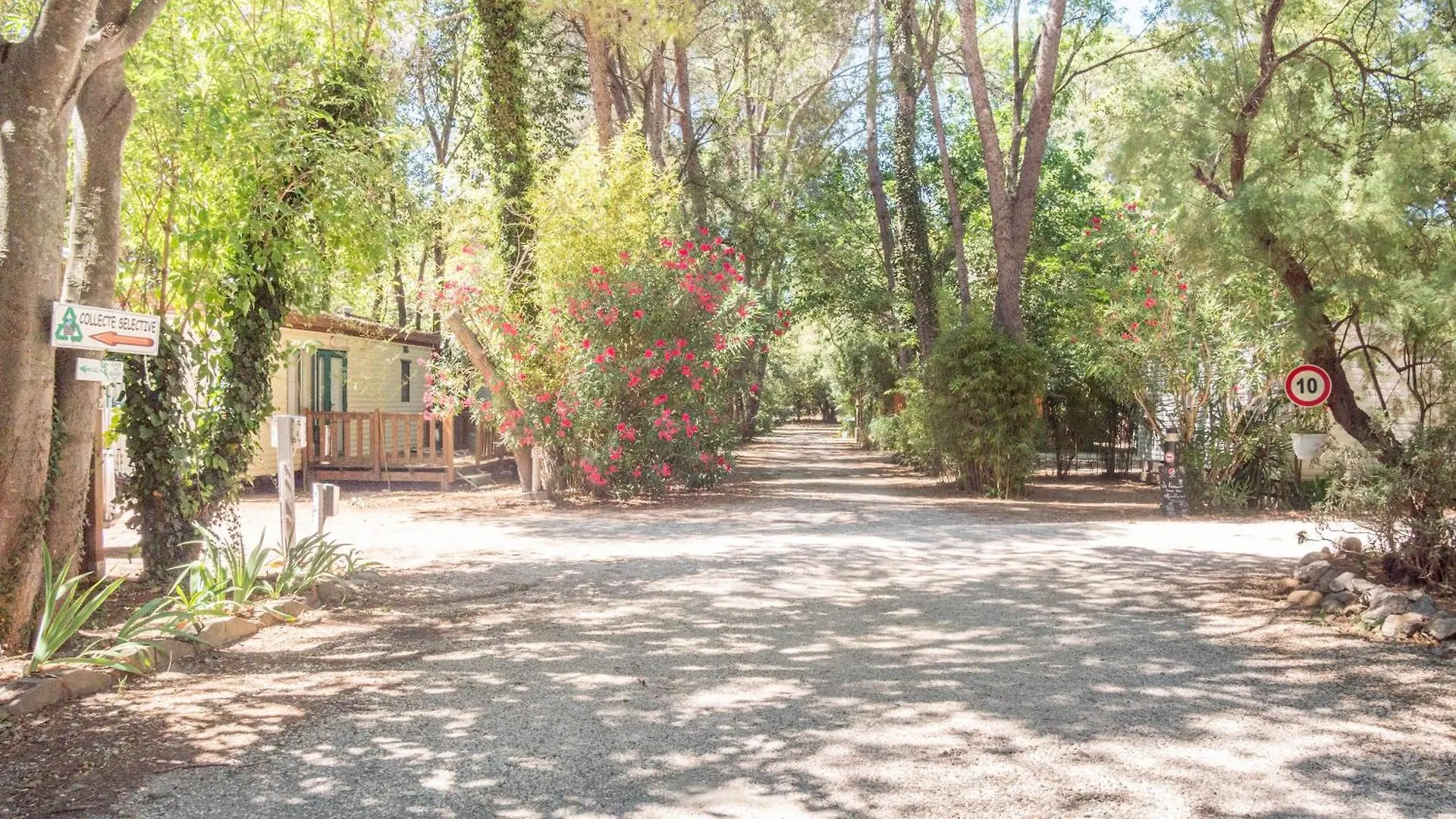 Camping De La Chapelette Saint-Martin-de-Crau
